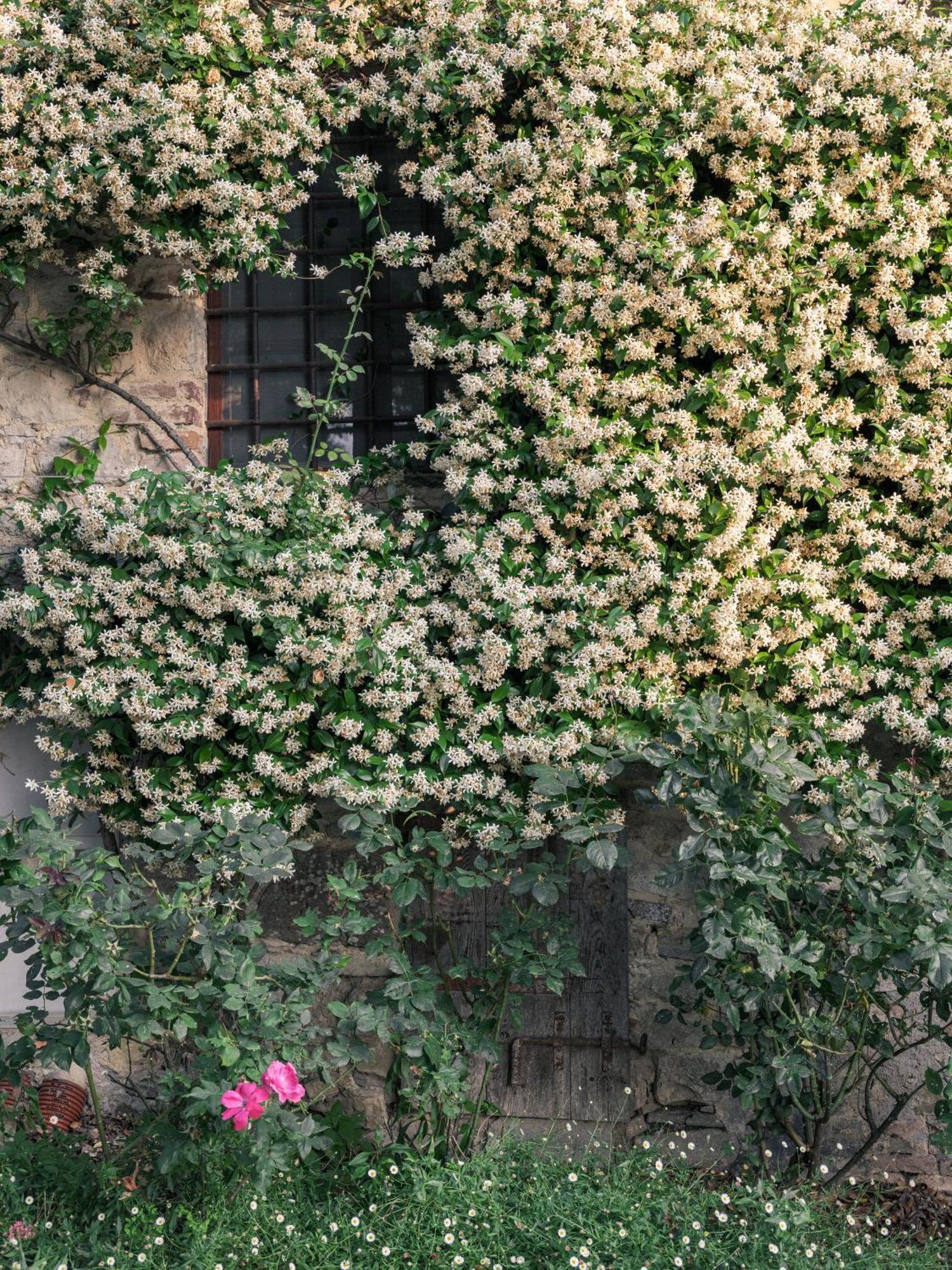 Argenina - Hospitality And Local Character Guest House Monti di Sotto Exterior photo